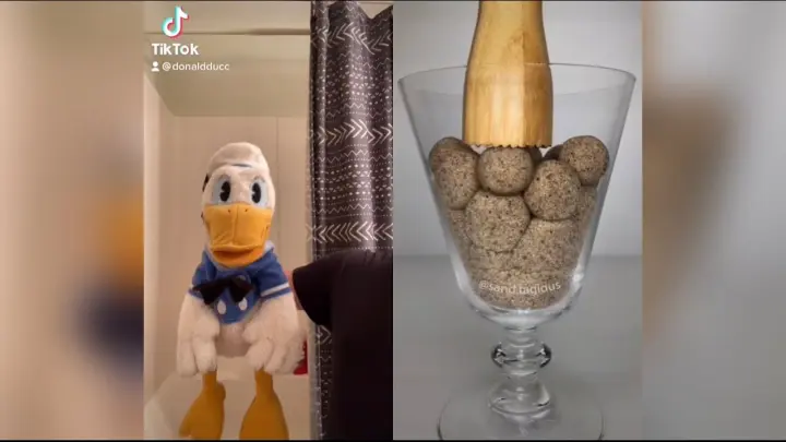 Donald Duck Reacts To Satisfying Tiktoks (DO NOT LAUGH CHALLENGE) @DonaldDucc