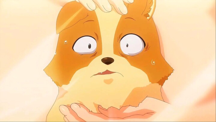 Baru Bangun, Tetiba Jadi Anjing??!! Ini Kutukan Atau Berkah??!!