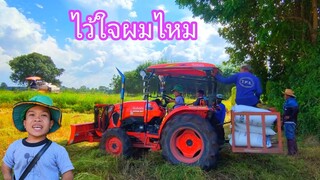ขับรถไถขนข้าวที่นาขับเองเลยจะเป็นไง