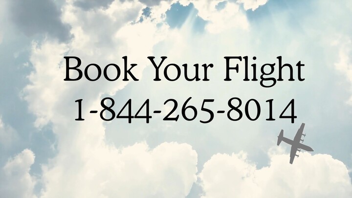 Full™ List℠ of Wizz Air CUSTOMER© SERVICE℗ (24/7 Live Person Support) Numbers A Complete GUide