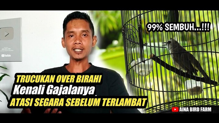TRUCUKAN OVER BIRAHI 99% SEMBUH DENGAN TEKNIK INI‼️