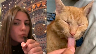 ไม่เคยรู้มาว่าลิ้นแมวมันยาวขนาดนี้🤣🤣