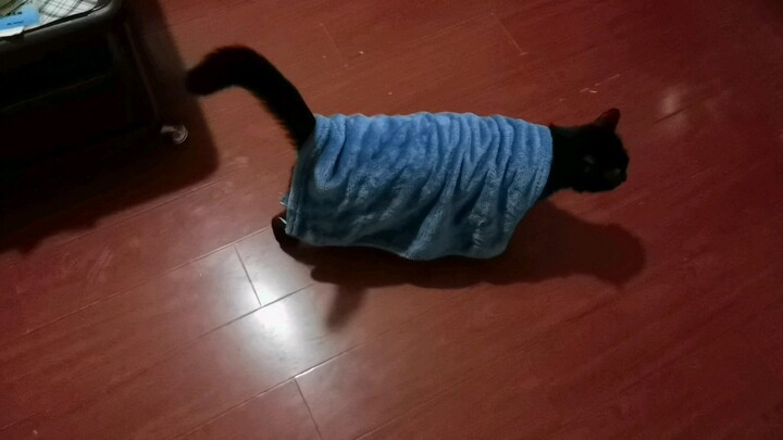 The child carries his little quilt around the house every day~~~
