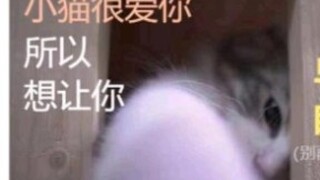 有一天早晨我扔掉了所有的昨天，从此我的脚步就轻盈了。