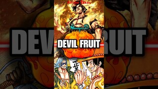 What Happens if Two People Eat the Same Devil Fruit? | One Piece