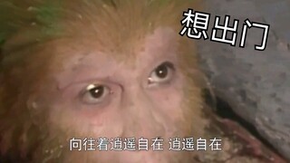 初看不知片中意，再看已是片中猴