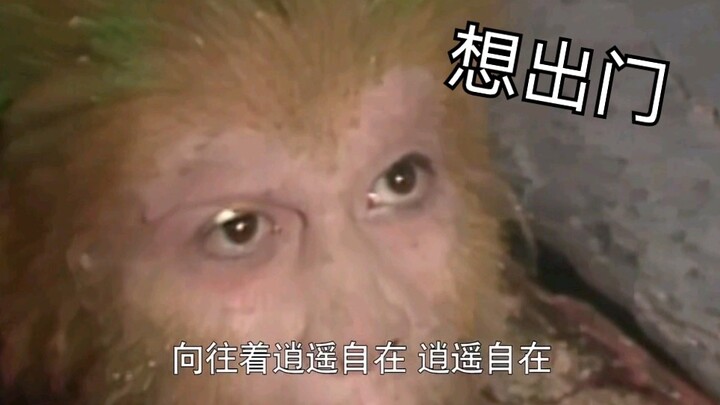 初看不知片中意，再看已是片中猴