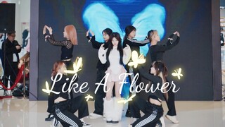 Irene Bae Joo-hyun: Bloom like a flower! Like A Flower: The first car with dancers on the Internet |