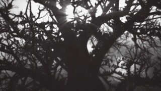 AMV, the premise of the third act and in cold blood