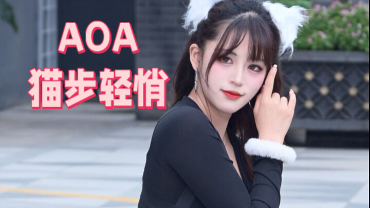 【AOA - Bước chân mèo nhẹ nhàng】Bắt gặp một chú mèo đen nhỏ lang thang bên đường – Nhanh tay kẻo lỡ!