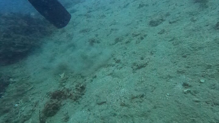 vitamins sea