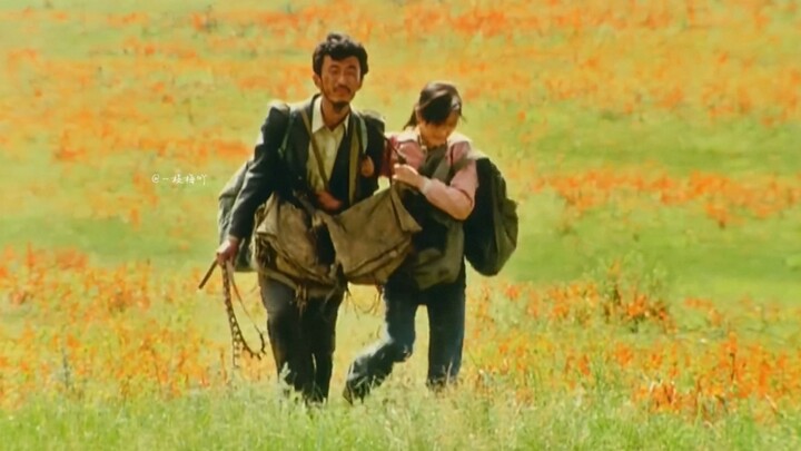 Adapted from a true story, he traveled 260,000 miles to deliver a letter over 20 years, touching the