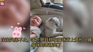 宝宝哭闹不止，家长把娃枕在猫咪背上竟秒入睡，猫咪的表情亮了