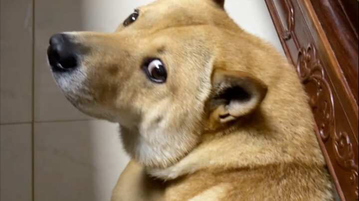 Sự im lặng vang dội đến chấn động.