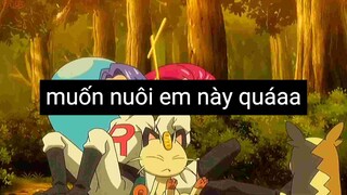 Muốn nuôi em này quáaa