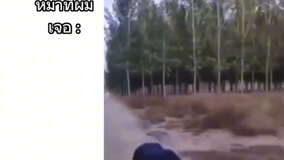 ขับเร็วที่สุด