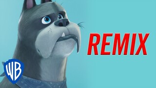 DC League of Super-Pets | If Ace the Bat-Hound had a Theme Tune Remix