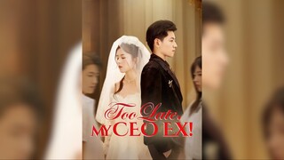 Quá muộn rồi, CEO cũ của tôi! - Too Late, My CEO Ex! - Phụ đề tiếng Việt