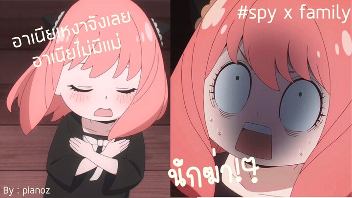 spy x family อาเนีย กับ คุณแม่นักฆ่า !