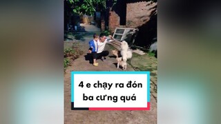 Đăng lại xem có lên xu hướng ko? Cả nhà đâu rồi ạ. cunyeucuadua chó chócon chókhôn chócute chó_cưng chócon chókhôn chómèo xuhuong fyp