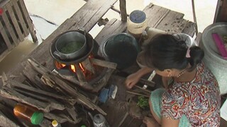 Mùa nước nổi 2011