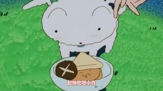 【蜡笔小新】白神是怎么样炼成的，小白狗食大全