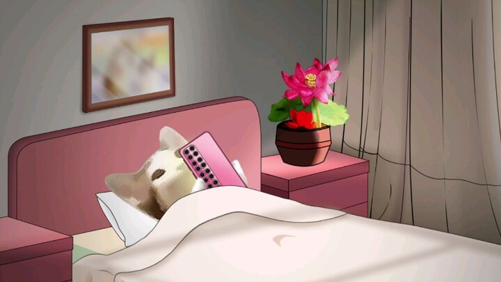 Girls' birthdays and boys' birthdays