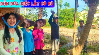 Đốn Nguyên Cây Dừa Điếc Lấy Củ Hủ Dừa Nấu Đặc Sản Miệt Vườn | NĐMT#237