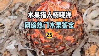 【水果猎人】网络热门水果鉴定25