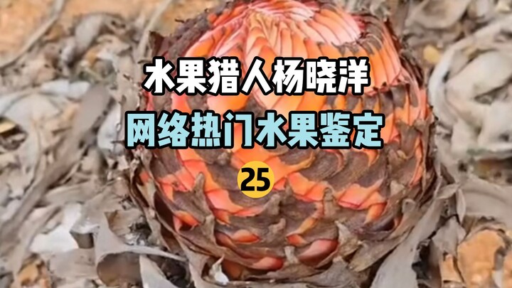 【水果猎人】网络热门水果鉴定25