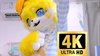 No more chatting—time to head back to kindergarten!