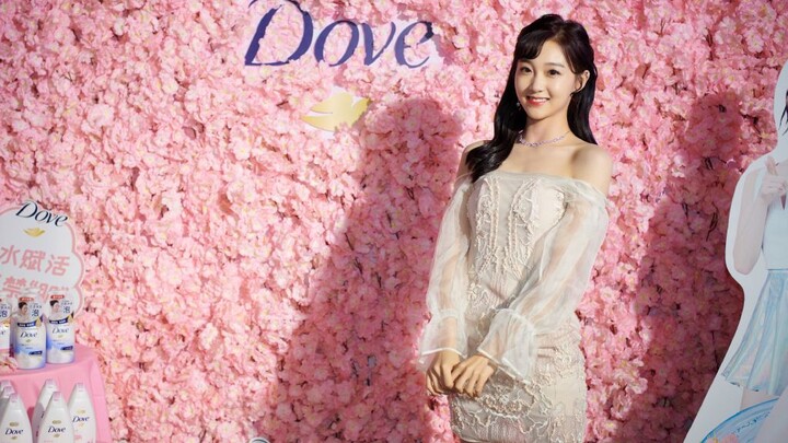 【لي تسي شوان، دو تسي】رقصة أزهار الكرز