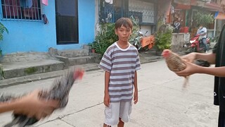 bantam Vs 4months