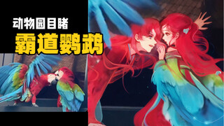 Đoán được đầu mà không đoán được cuối | Tập hợp nhỏ