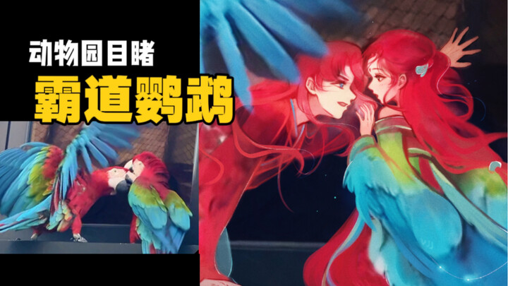 猜到开头没猜到结尾｜小合集