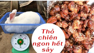 Món Thỏ Chiên Ngon hết sảy | Quý Vlog Tây Bắc