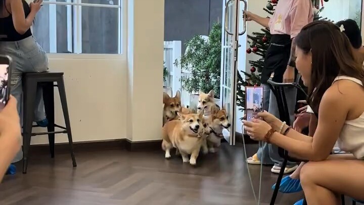 cute
