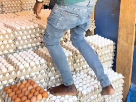 Trứng kiểu Mỹ hùng bá