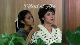 T-Bird at Ako (lit. 'T-Bird and Me') 1982