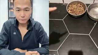 Pan Hong's interview was indeed professional