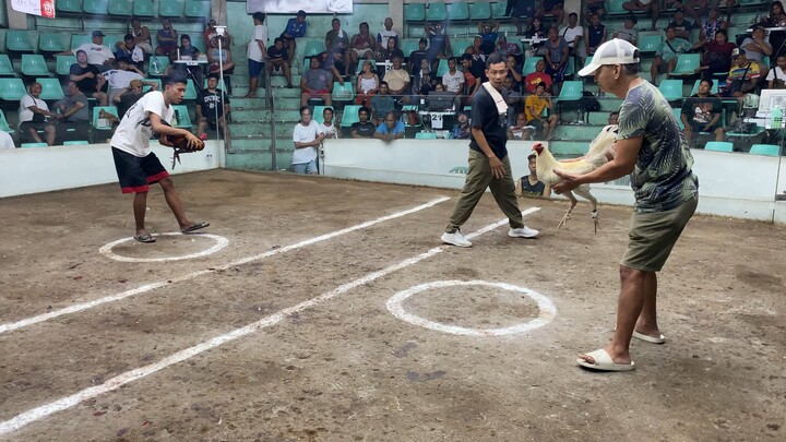 Apr 23 2hits antipolo 2nd fight lose white