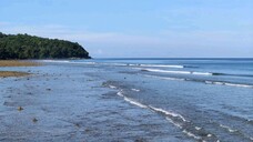 เกาะปลิงที่เที่ยวจ.ภูเก็ต/Beya&Silva Shop