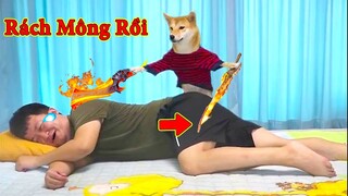 Thú Cưng TV | Ken Trẻ Trâu Bướng Bỉnh #11 | chó Shiba thông minh vui nhộn |  Pets funny smart dog