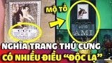 Những cái tên ĐỘC LẠ nhất nghĩa trang thú cưng và NHIỀU CÂU CHUYỆN xúc động phía sau 😅 | Gâu Đần