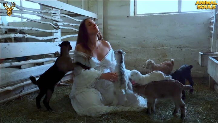 Heartwarming Animal Rescues That Restore Faith in Humanity ❤️  🥺