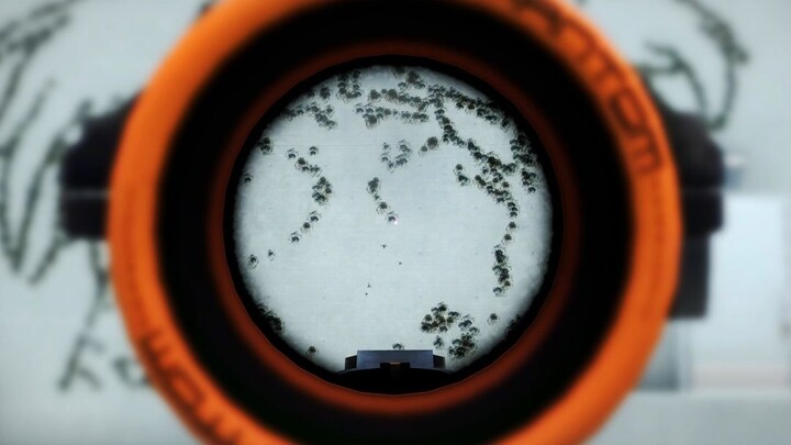 Chăm chỉ quá đến nỗi não lợn bị quá tải mất rồi