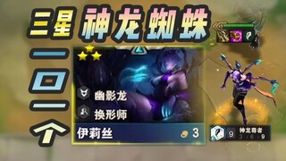 九神龙尊者一口一个三星跳跳蛛！