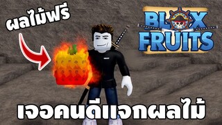 เจอคนใจดีเเจกผลปีศาจใน Blox Fruit | Roblox