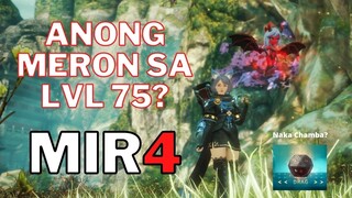 MIR4 GUIDE : ANONG MERON SA LVL 75?