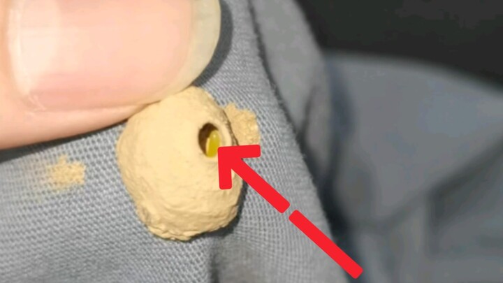 I’ve been wearing this outfit all night, and only realized at midnight when I stood up that there’s 